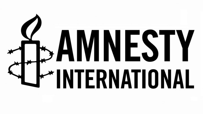 Amnesty international apologizes to iggy pop for justin bieber torture ad