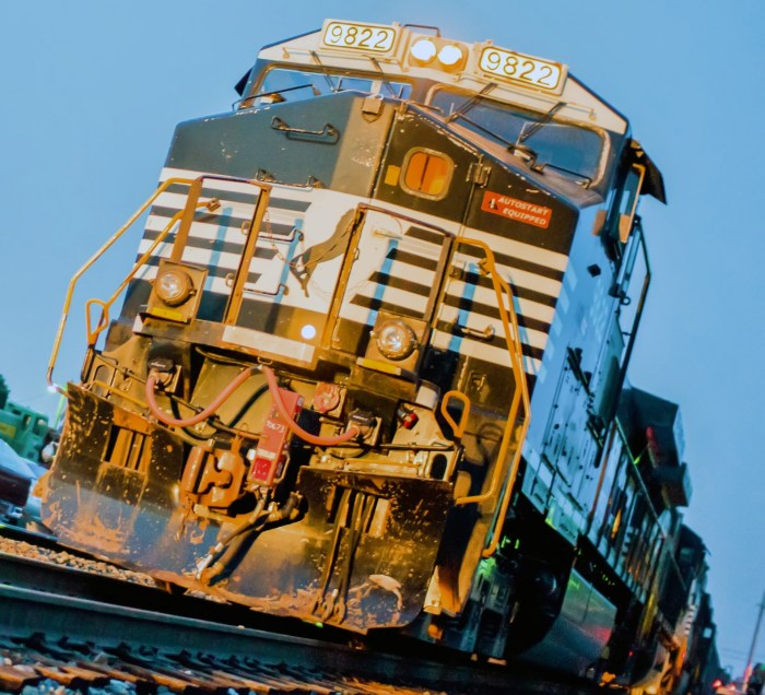 Train a Cat Not to Jump on Your Furniture