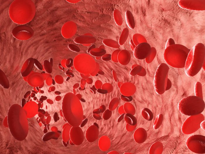Blood for the Master A Historical Analysis