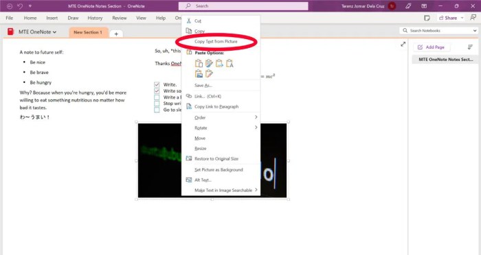 Take Screenshots with OneNote