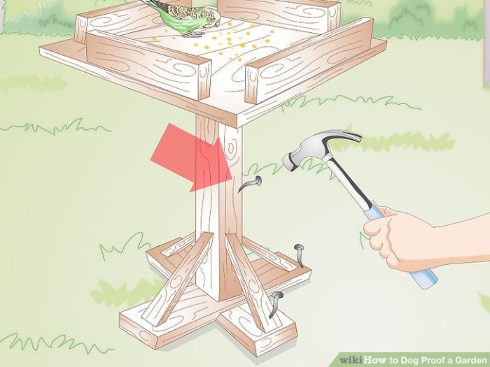 Dog Proof a Garden Your Safe & Happy Yard