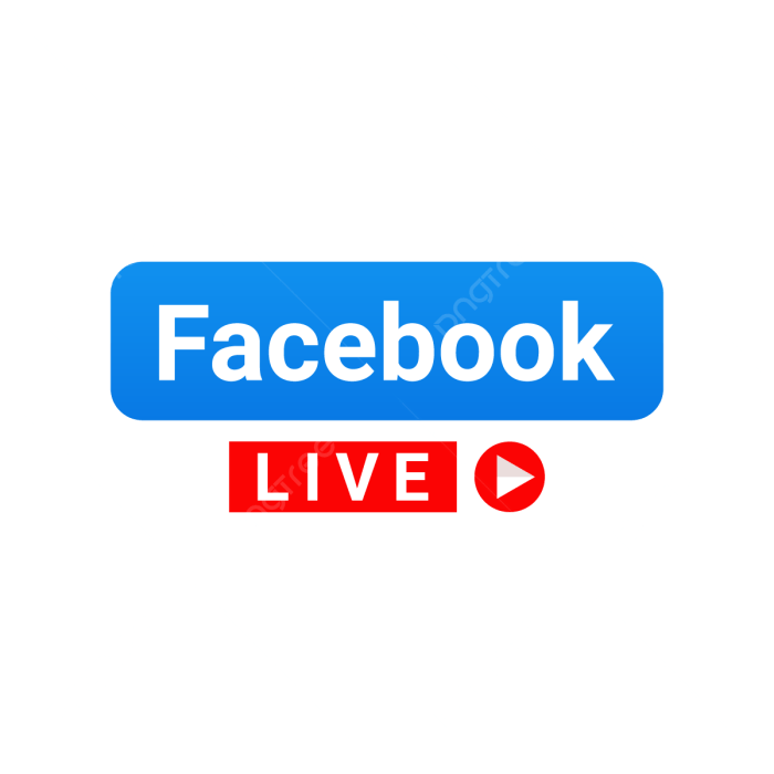 Care for Live Crickets for Reptiles