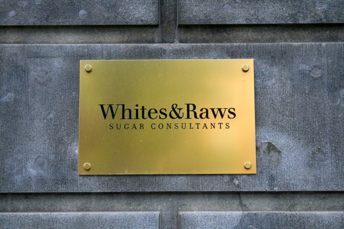 Rauw alejandro playa saturno