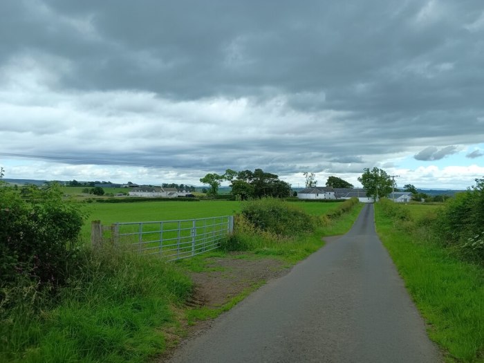 Rauw alejandro playa saturno