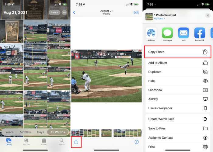 Copy a Link on an iPhone Your Ultimate Guide