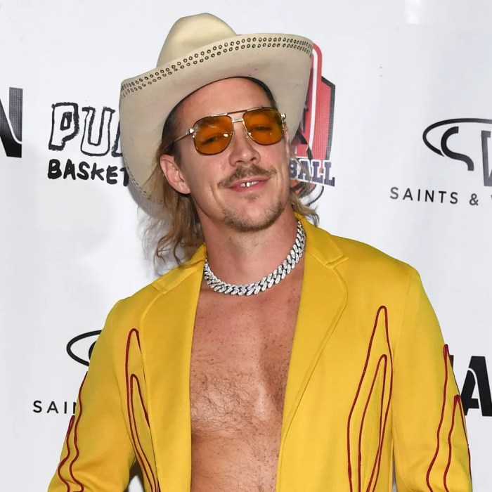 Diplo compiles daft punk mia spoon css remixes