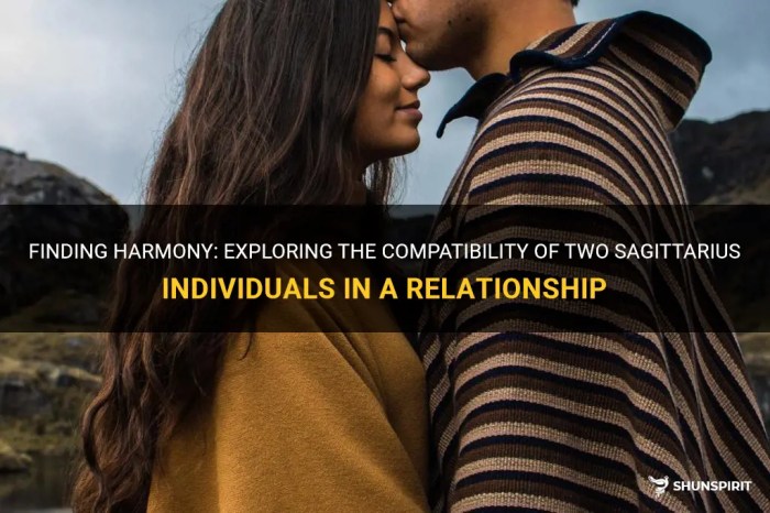 Compatibility of Sagittarius with all Signs - Dhanu Rashi Are Sagittarius Compatible with Each Other
