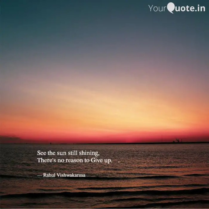 Shannen Moser The Sun Still Seems to Move