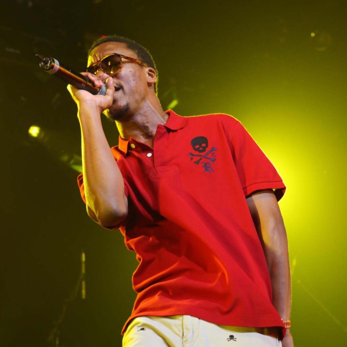 Lupe fiasco officially not releasing music anymore albums cancelled