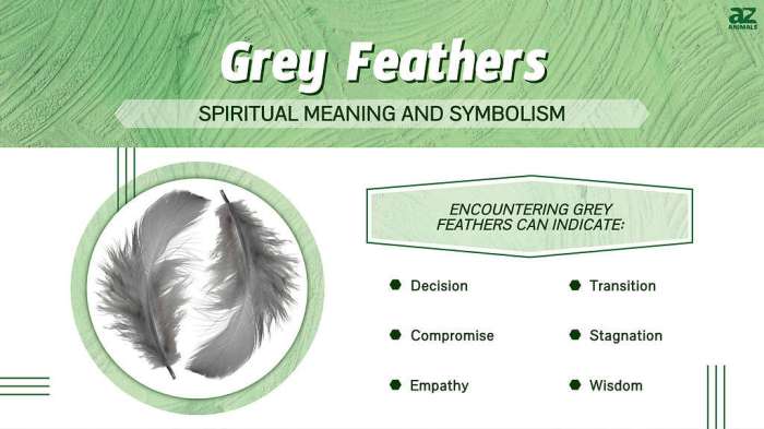 Gray Feather Meaning and Symbolism | Color Meanings Grey and White Feather Meaning