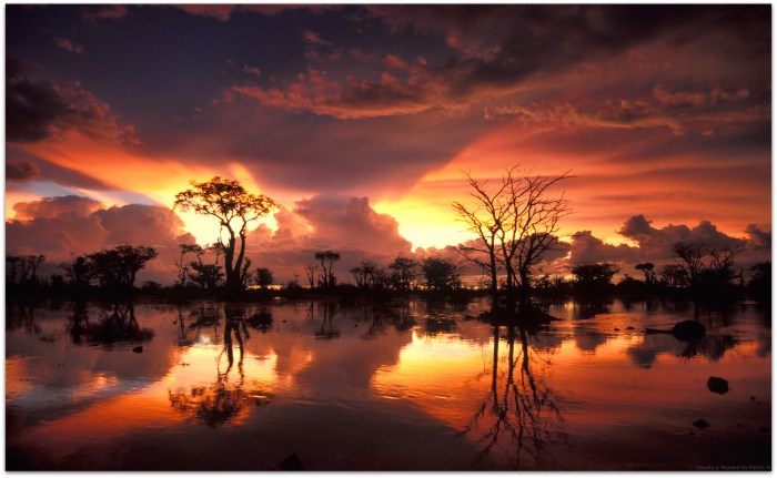 Namibia – Celebrating African Light - Africa Geographic Africa hitech light the way