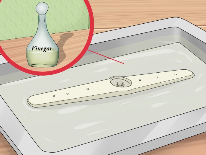 Clean a Dishwasher with Vinegar A Deep Dive