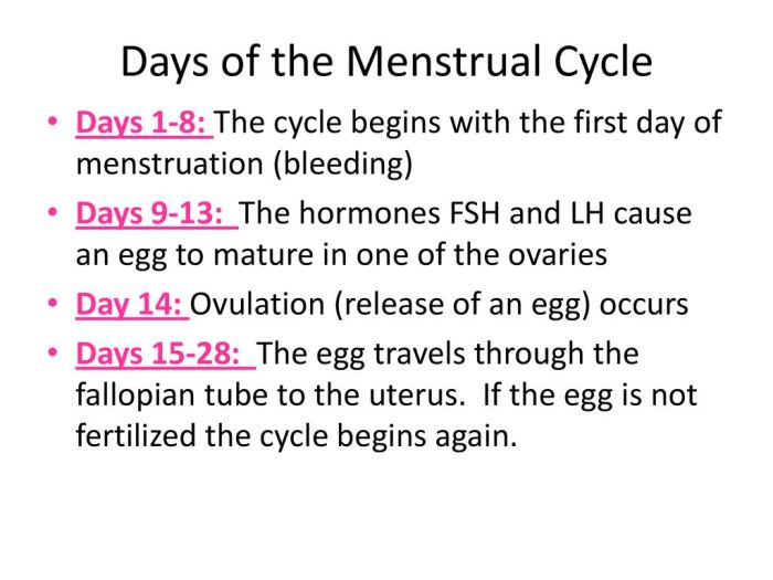 Your Menstrual Cycle 101 - What's normal? - Optimal Period Determine First Day of Menstrual Cycle