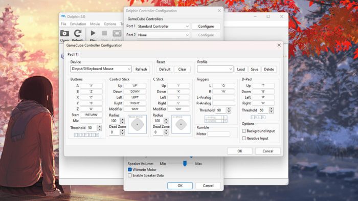 Use Dolphin Emulator on Android A Deep Dive