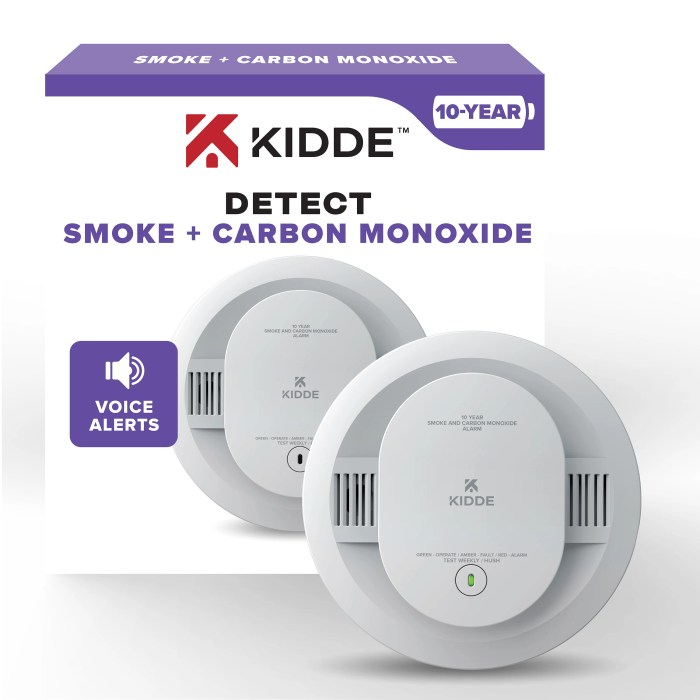 Turn Off Carbon Monoxide Alarm