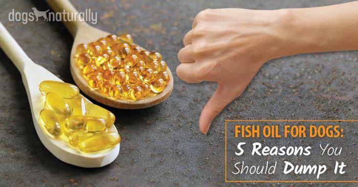 Fish Oil For Dogs: Safe Or Not? Use Fish Oil for Dogs