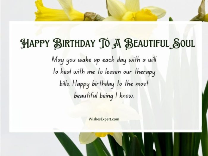 Happy Birthday Beautiful Soul A Celebration