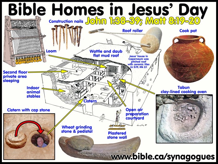 Attic abasement guarantee jesus