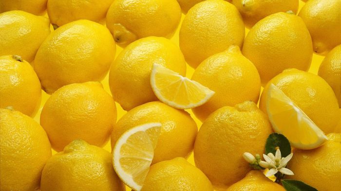 Lemon Photos - Wallpics.Net - Wallpapers, Photos, Pictures, Backgrounds The lemon twigs songs for the general public