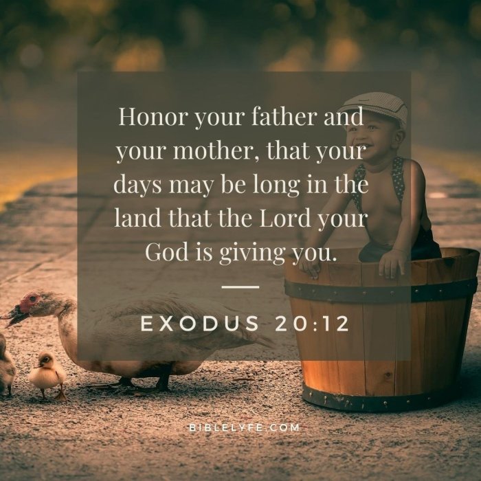 20 Bible Verses about Obeying Your Parents — Bible Lyfe Obey and Respect Your Parents