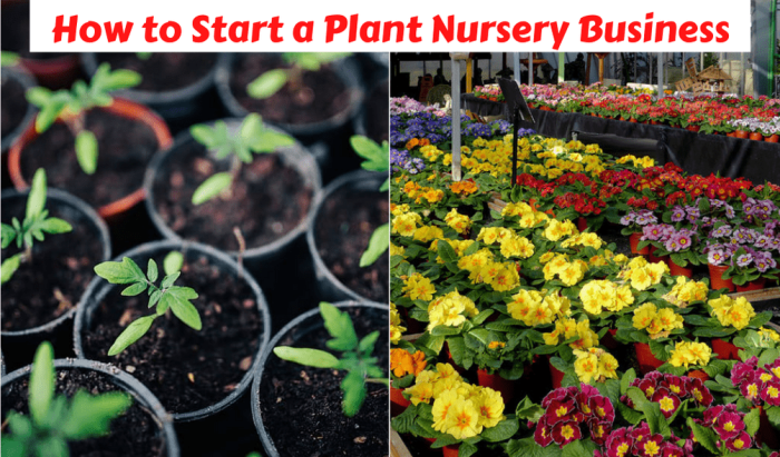 Plant Nursery Business Plan - Complete Guide for Beginners Start a Plant Nursery Business
