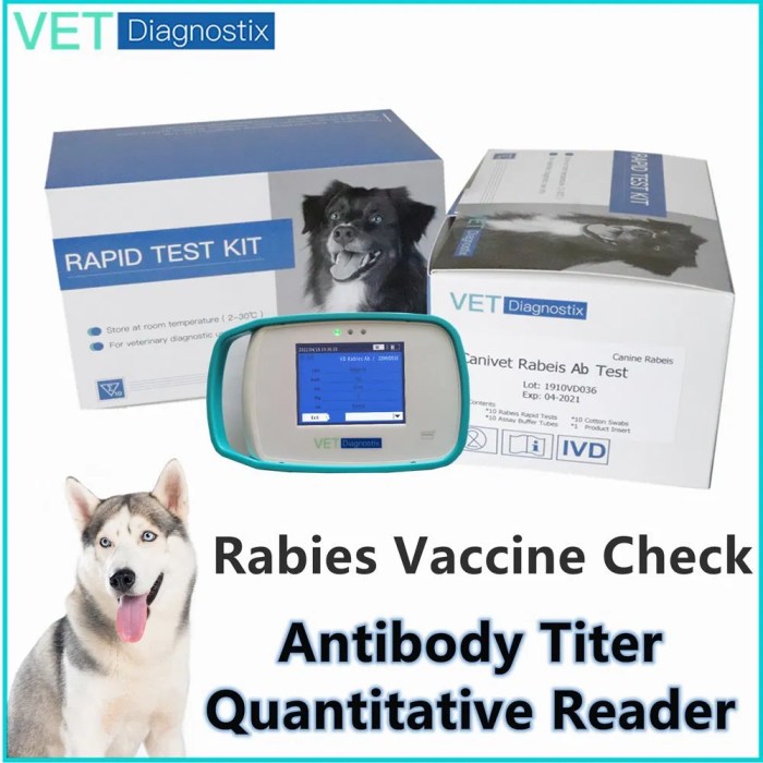 Test Dogs for Rabies