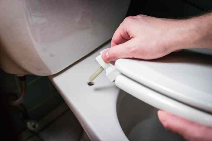 Remove a Toilet Seat