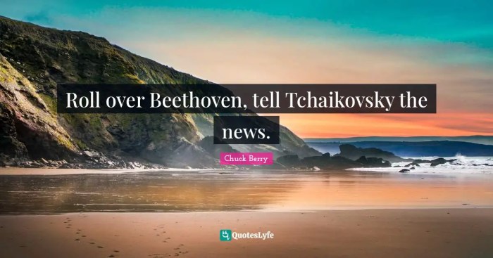 Arcade fire cover chuck berrys roll over beethoven kinda sorta poke fun at deadmau5