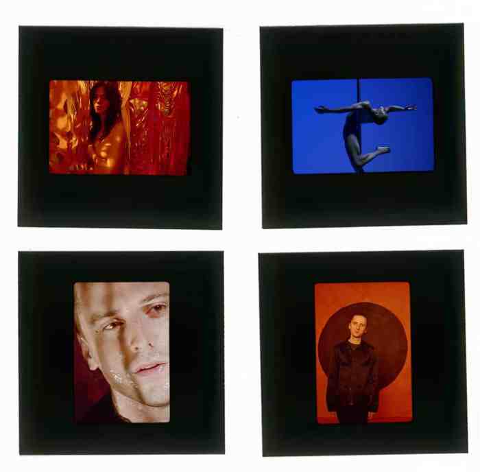These New Puritans Inside the Rose A Deep Dive