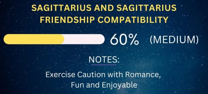 Sagittarius Friendship Compatibility with All Zodiac Signs (Percentages ... Are Sagittarius Compatible with Each Other