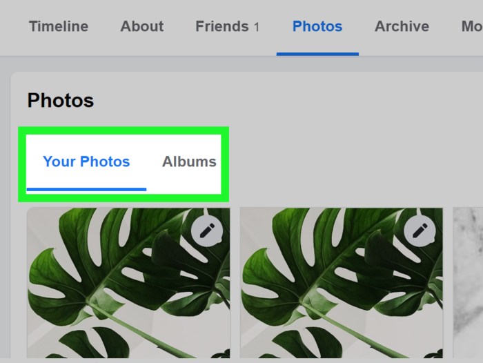 How to See All of Your Uploaded Photos on Facebook See Uploaded Photos on Facebook