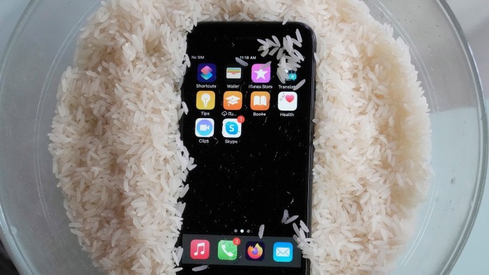 How to Dry Out a Phone Without Rice: 14 Steps (with Pictures) Dry Out a Phone Without Rice