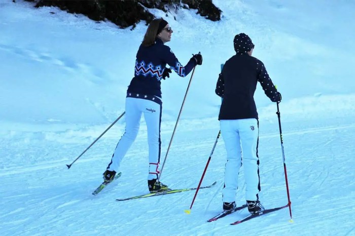 The Ultimate Beginner’s Guide to Skiing - XC Skiing Alpine Ski if You Are a Beginner