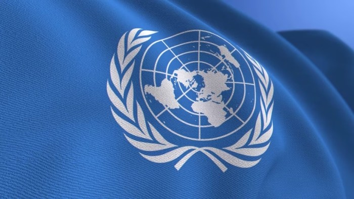 Get a Job With the United Nations