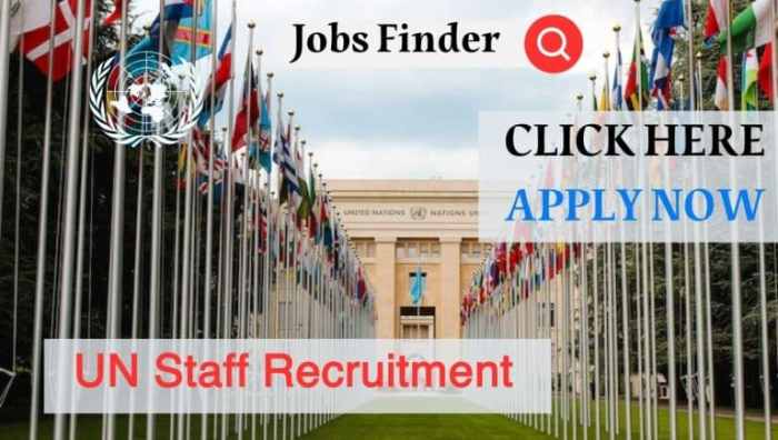 United Nations Jobs | UN Careers Worldwide 2024 Get a Job With the United Nations