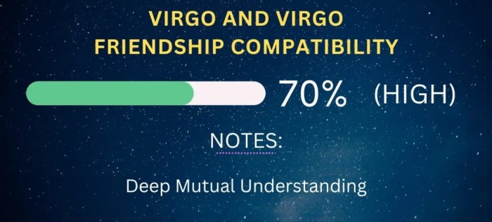 Virgo Friendship Compatibility with All Zodiac Signs (Percentages and ... Are Virgos Compatible with Each Other
