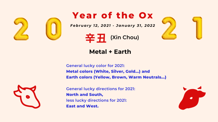 Year of the ox davids plan