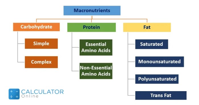 Convert Grams to Calories A Complete Guide