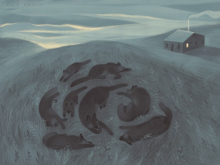Shannen moser the sun still seems to move