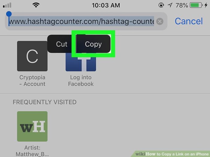 How to Copy a Link on an iPhone: 3 Steps (with Pictures) - wikiHow Copy a Link on an iPhone