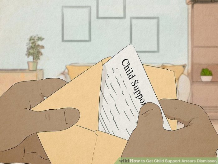 Get Child Support Arrears Dismissed Your Guide