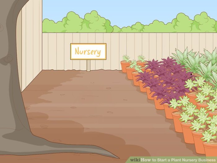 Wonderful Plant Nursery Business Ideas - GARDENIDEAZ.COM Start a Plant Nursery Business