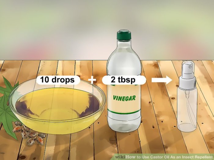 3 Ways to Use Castor Oil As an Insect Repellent - wikiHow Use Castor Oil As an Insect Repellent