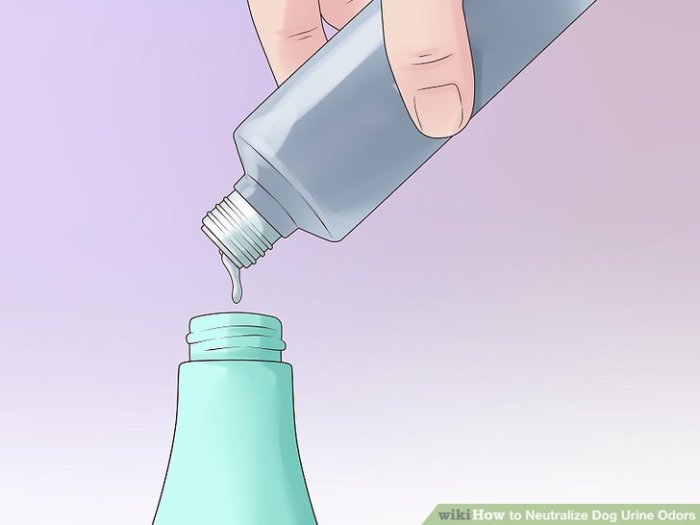 How Do I Get Rid Of Dog Urine Smell In My House Neutralize Dog Urine Odors