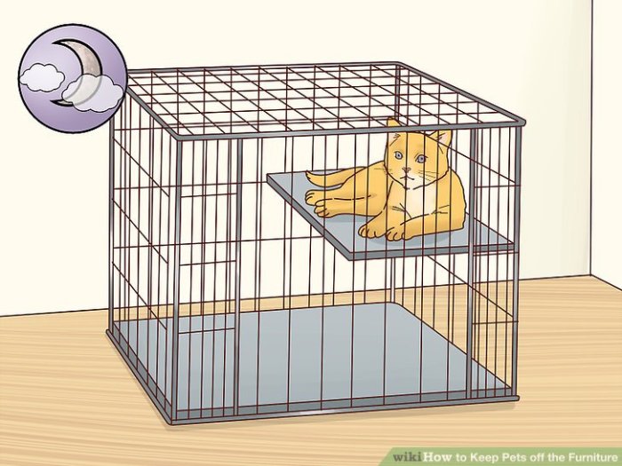 Keep Pets off the Furniture