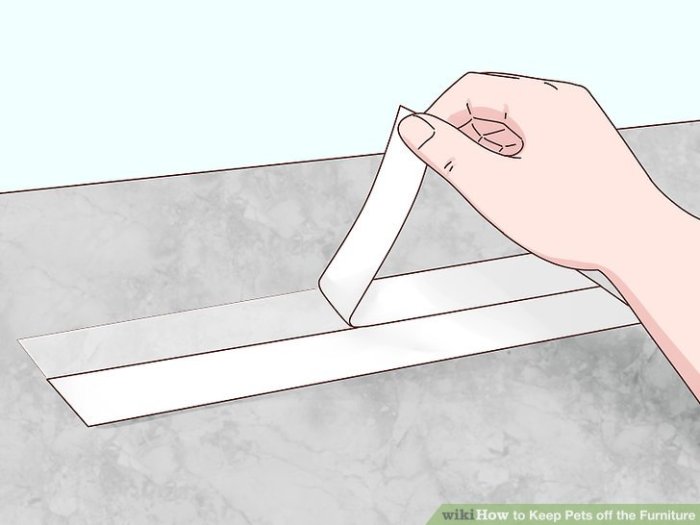 Keep Pets off the Furniture