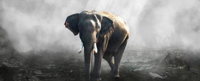 Elephant Killer by Hybrid55555 on DeviantArt Listen major lazer german elephant killer
