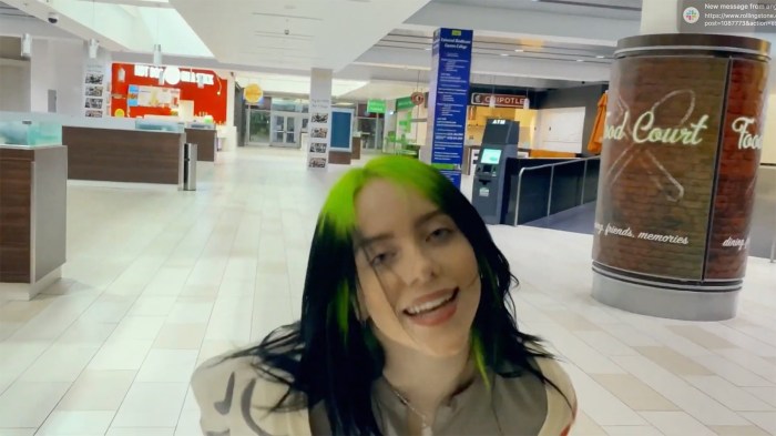 Billie Eilish Tier List 2021 : Billie Eilish's Parents' Bio ... Billie eilish scores first no 1 single ending old town roads 19 week run