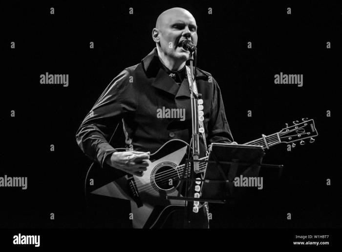 Billy Corgan Announces New Solo Project & Tour