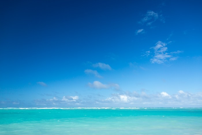 Caribbean Sea And Sky Free Stock Photo - Public Domain Pictures What Sea Creature Are You